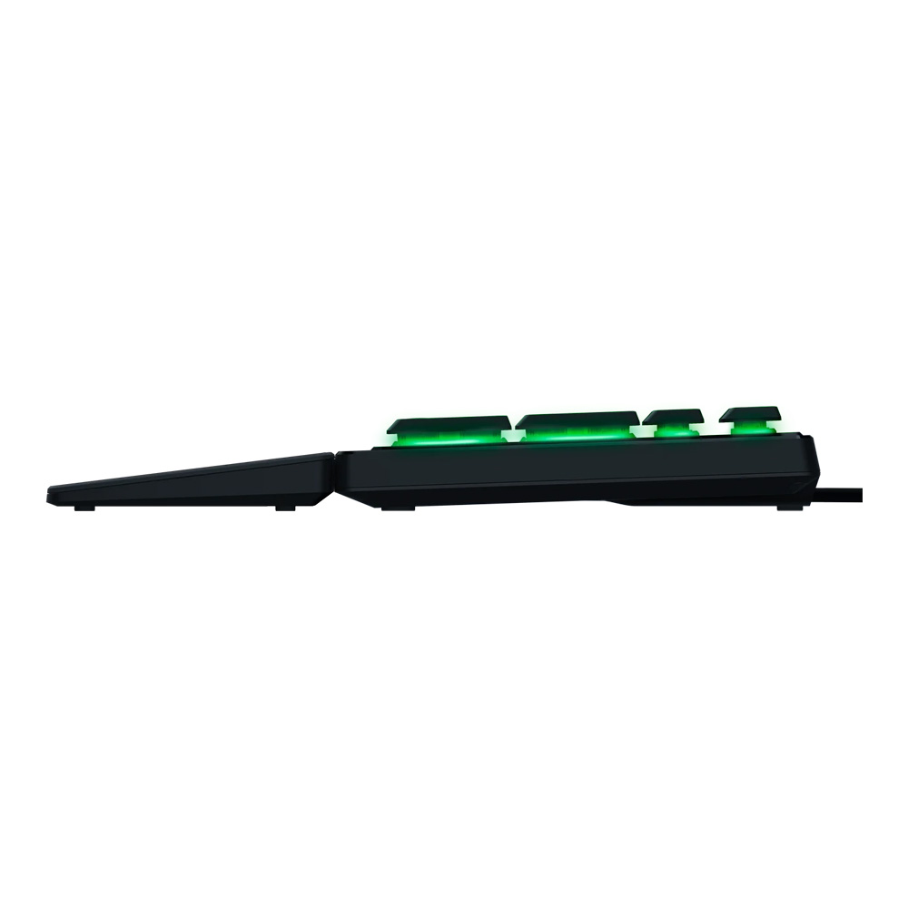 Tastatura cu fir Razer RZ0304470800R3R1 / Membrana photo 2