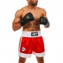 Sorti Green Hill Kickboxing Short thumbnav 1