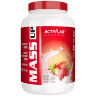 Gainer Activ Lab Mass Up  thumbnav 1