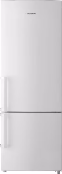 Холодильник Samsung RL29THCSW 