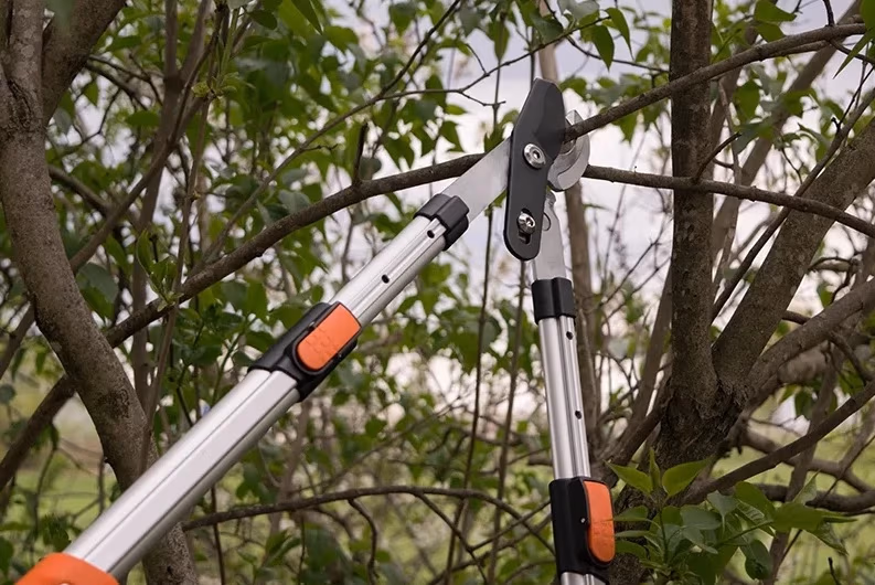 Foarfeca pentru crengi telescopic (secator) 70-103mm Daewoo 
