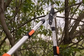 Foarfeca pentru crengi telescopic (secator) 70-103mm Daewoo