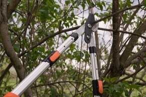 Foarfeca pentru crengi telescopic (secator) 70-103mm Daewoo thumbnav 1