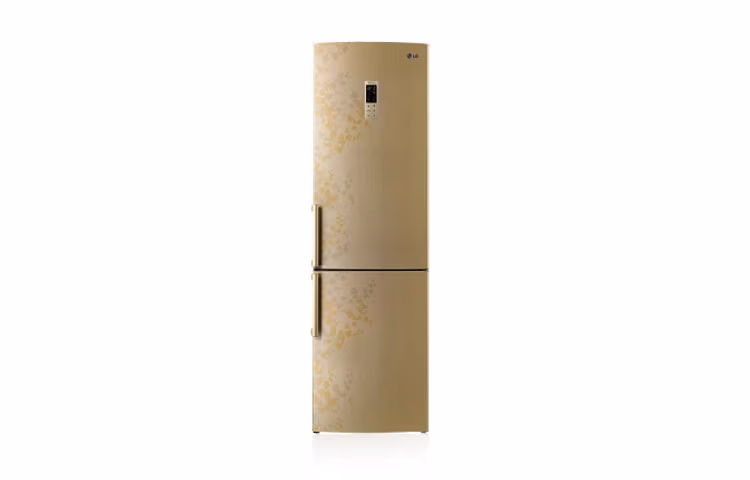 Frigider LG GAB489BVTP 