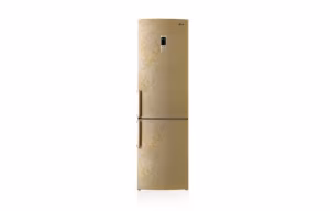 Frigider LG GAB489BVTP