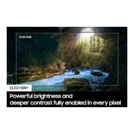 OLED телевизор Samsung QE55S90DAEXUA thumbnav 10