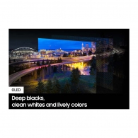 OLED телевизор Samsung QE55S90DAEXUA thumbnav 9