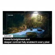 Televizor OLED Samsung QE65S90DAUXUA thumbnav 10
