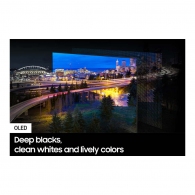 Televizor OLED Samsung QE65S90DAUXUA thumbnav 9