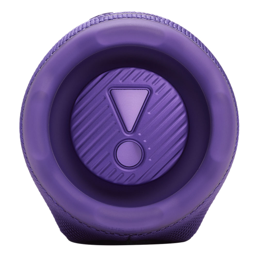 Портативная колонка JBL Charge 6 Purple photo 4