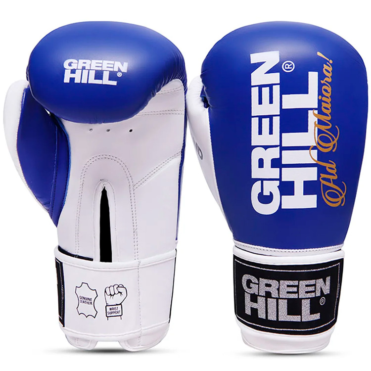Manusi pentru box Green Hill LEGEND photo 3