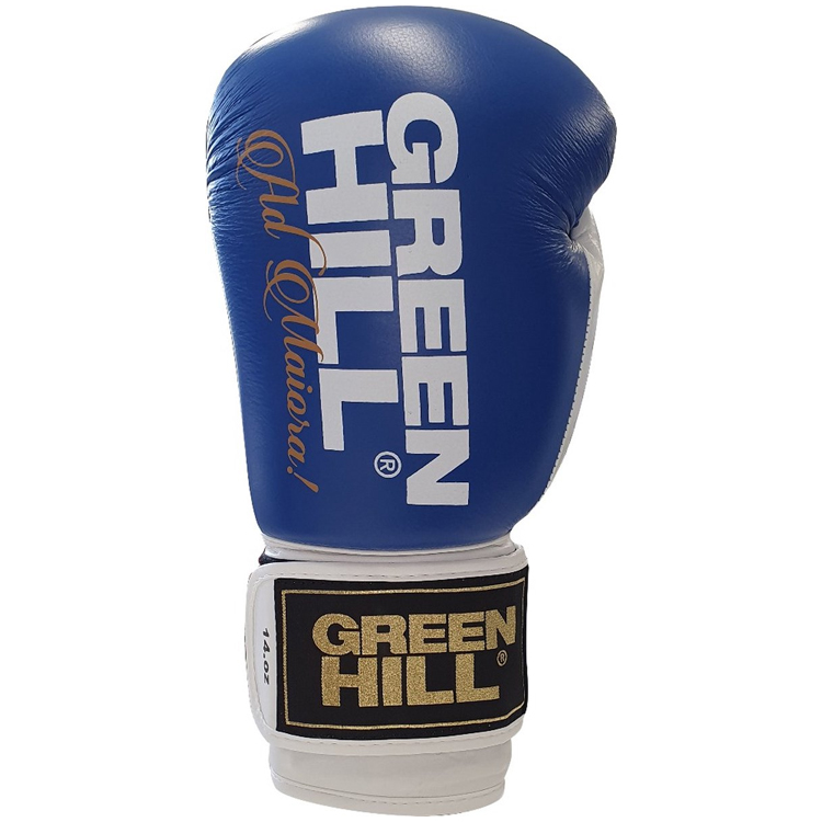 Manusi pentru box Green Hill LEGEND photo 6