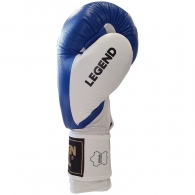Manusi pentru box Green Hill LEGEND thumbnav 7