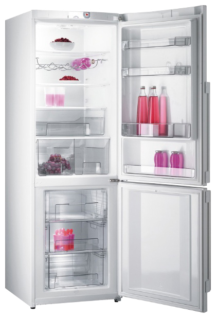 Frigider Gorenje NRK 65 SYW photo 2